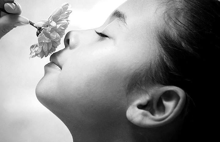 ddos压力测试平台